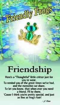 Friendship frog Angel pin
