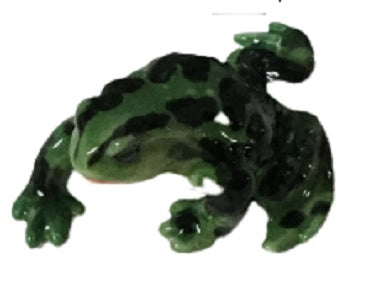Frog Dark Green lage black splotches