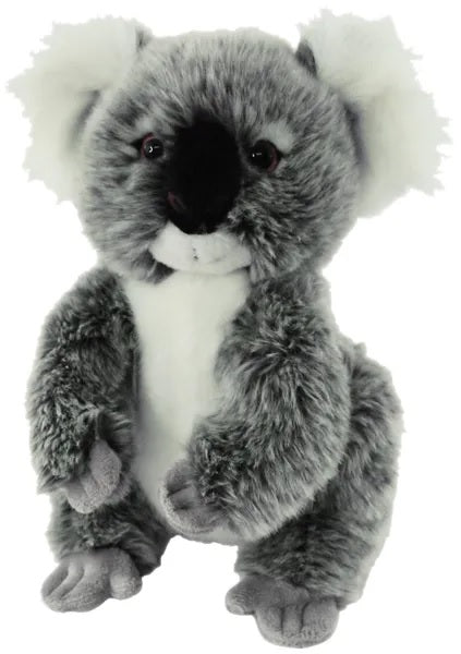 image Jarrah Koala  18cm