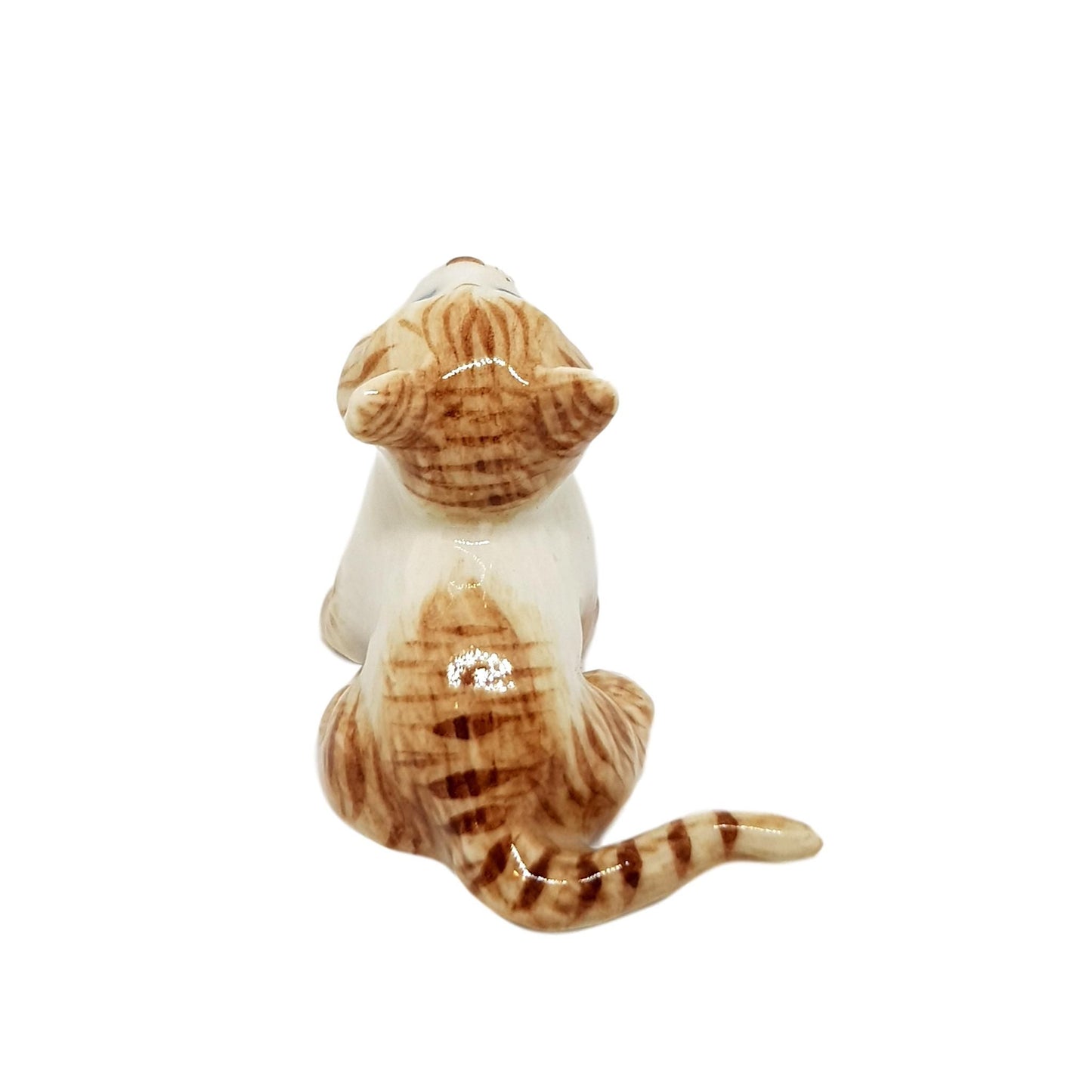 Baby cat brown sitting porcelain