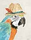 Parrot with straw hat canvas