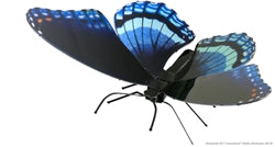 Metal Earth Red Spotted Purple Butterfl model kit