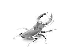 Metal Earth Stag Beetle