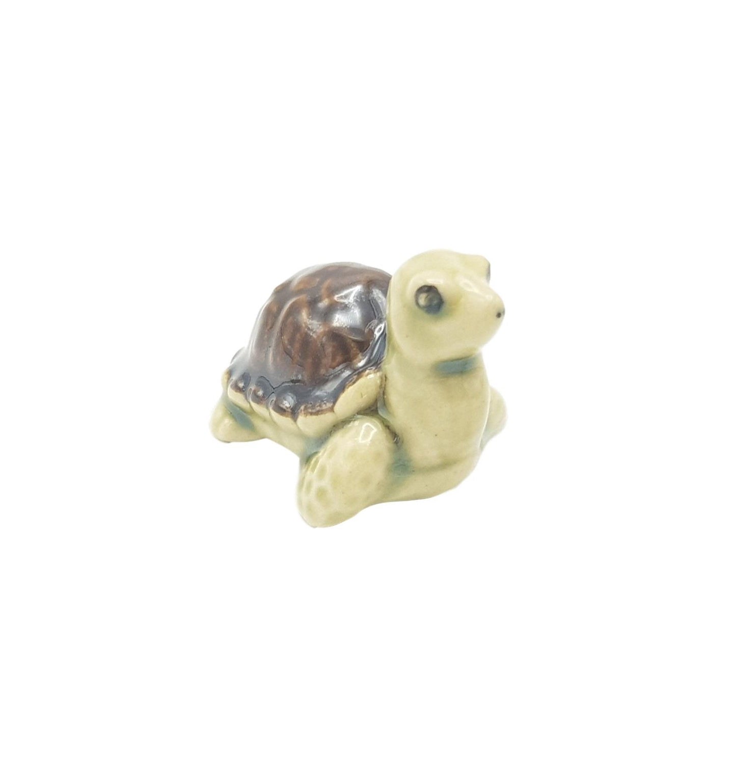 Turtle Brown Small
