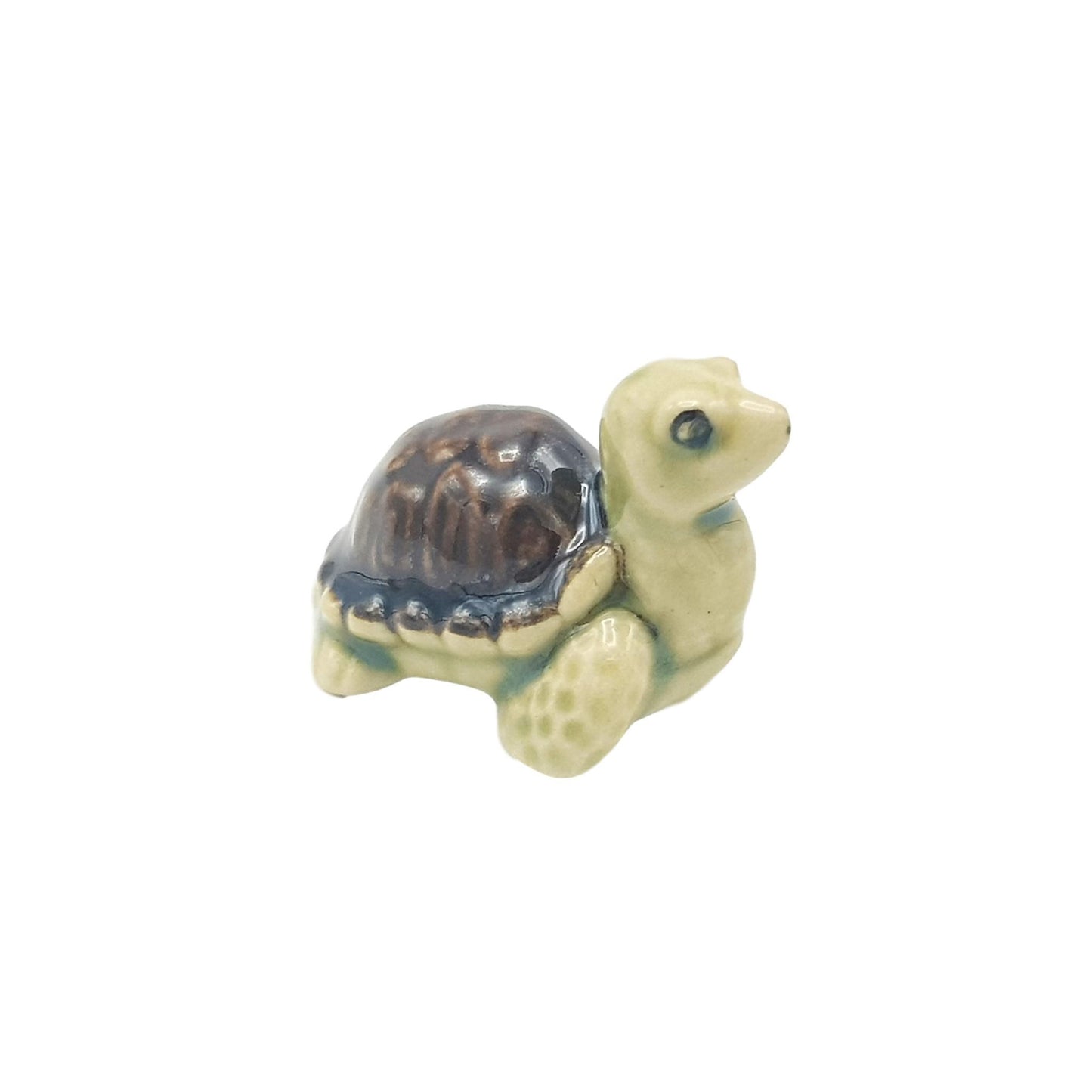 Turtle Brown Small
