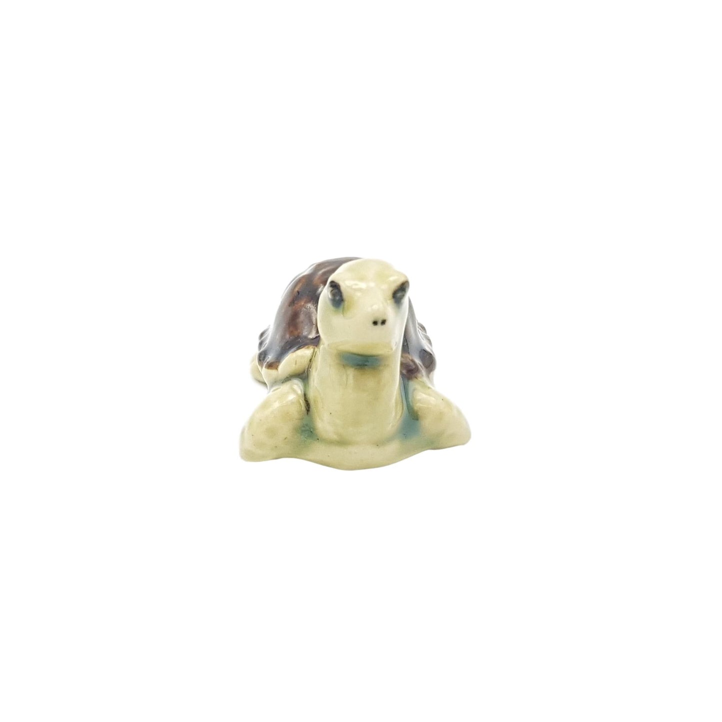 Turtle Brown Small