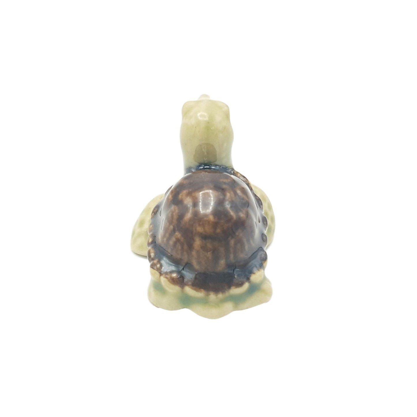 Turtle Brown Small