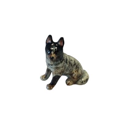 Australian Cattle Dog Mini Sitting