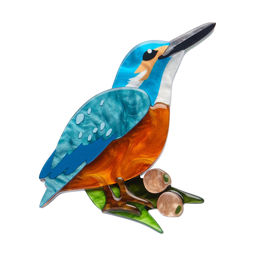 Flash the Kingfisher Erstwilder Brooch