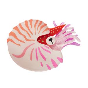 Chambered Nautilus Erstwilder Brooch