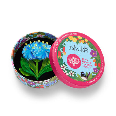 blue pincoushion flower & Erstwilder Box