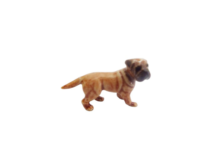 Bull mastiff Mini