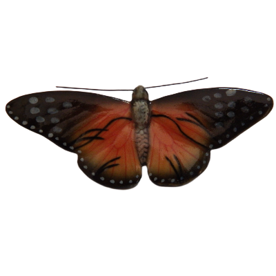 Butterfly with orange and black wings on a white background