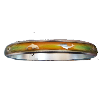 Mood Bangles