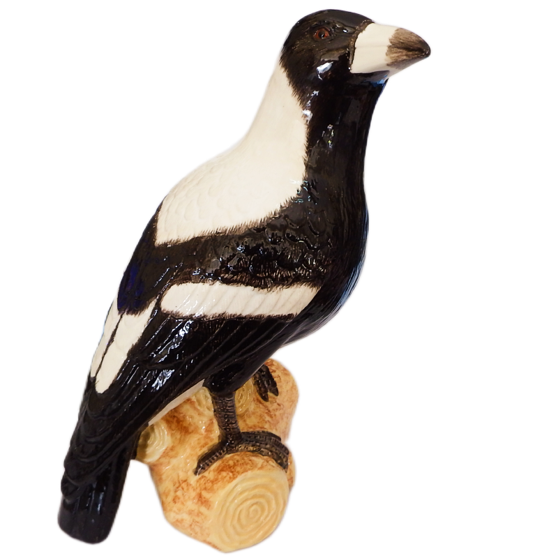 Australian magpie figurine life size ceramic figurine on a wood perch against a white background