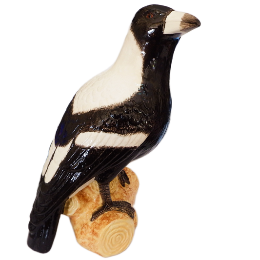 Australian magpie figurine life size ceramic figurine on a wood perch against a white background