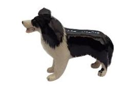 Large Border Collie Standing