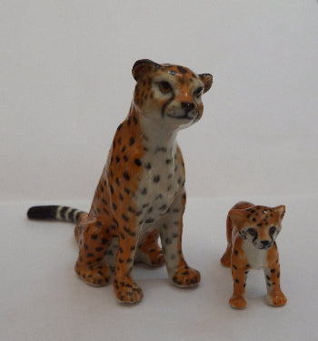 Cheeta Mum and baby on white background