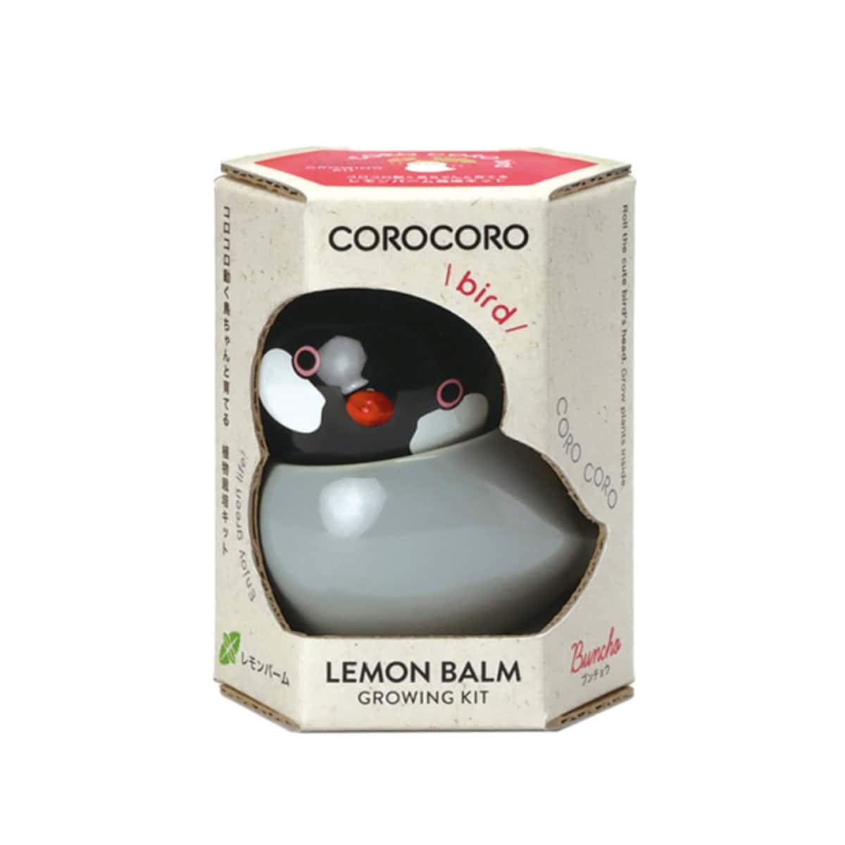 Coro Coro Bird Black and Grey lemon balm