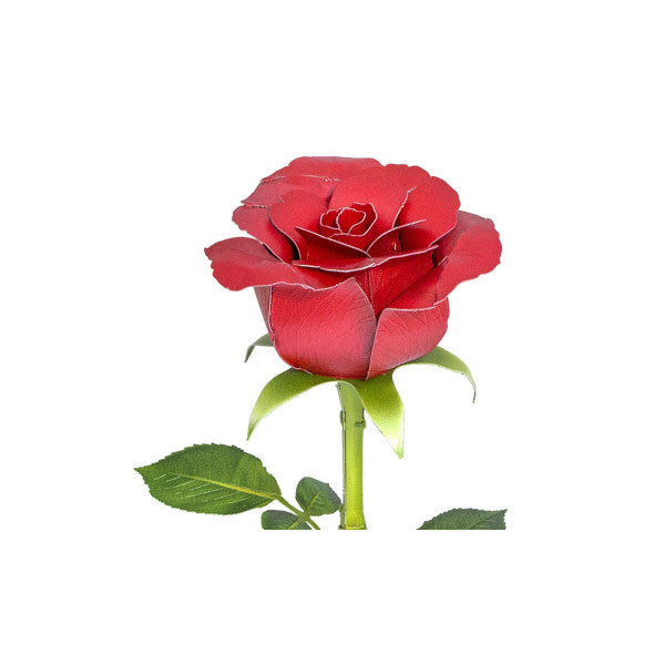 Metal Earth  Red Rose