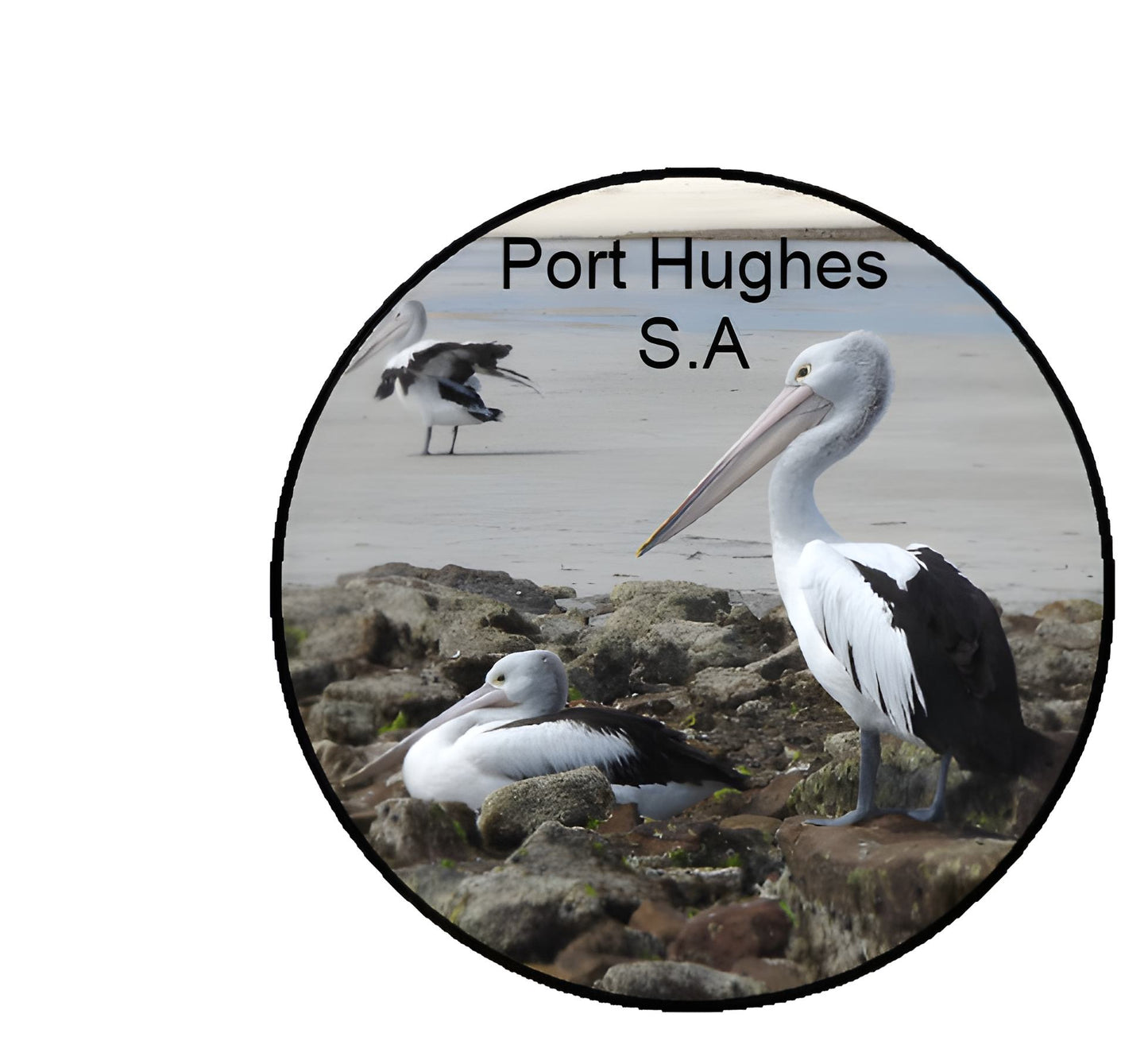 Pelicans Port Hughes South Australia Round Sticker