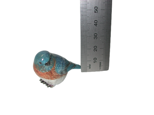 Blue Bird Small