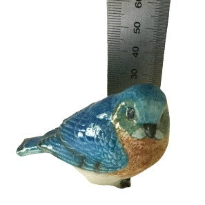 Blue Bird Large