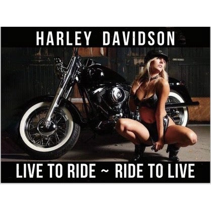 Harley Embossed Tin Sign