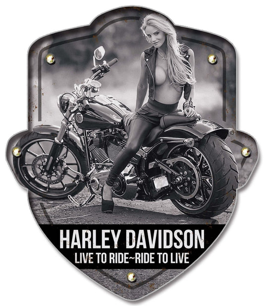 Harley 2 Light Up Sign