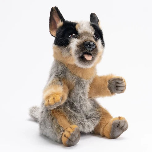 blue heeler hansa puppet