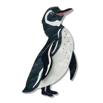 Galapagos  penguin erstwilder brooch image on a white background