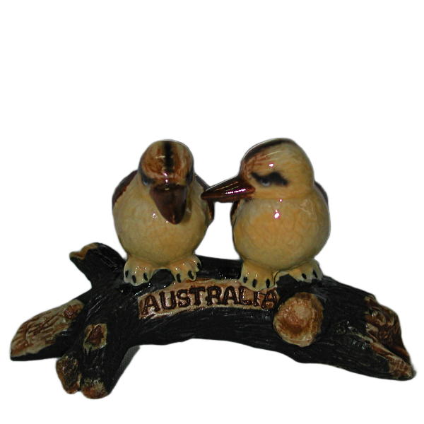 Kookaburrs two in a tree Australia