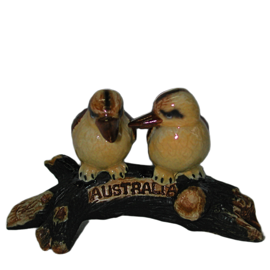Kookaburrs two in a tree Australia