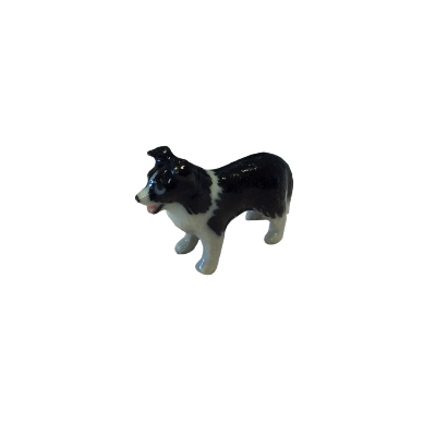 Mini Border Collie