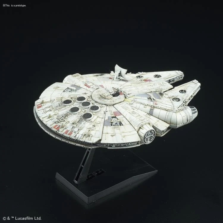small_mel_falcon_4