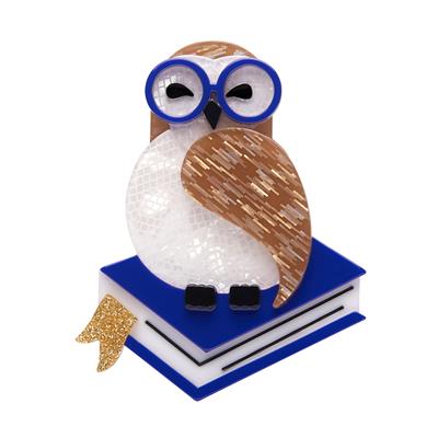 Studious  snow Owl Erstwilder Brooch
