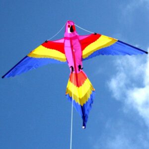 Lorikeet Windspeed Kite