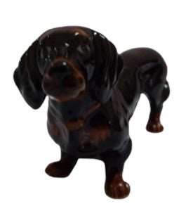 Black Dachshund Dog Standing