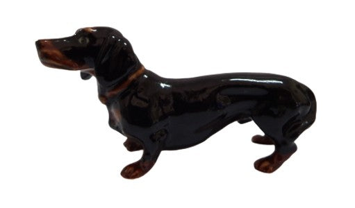 Black Dachshund Dog Standing