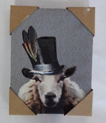 Sheep hat Feathers