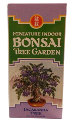 Image Bonsai Tree Garden Kits Jacaranda 