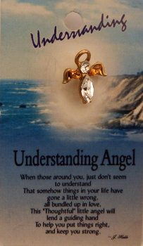 image Understanding  Guardian Angel