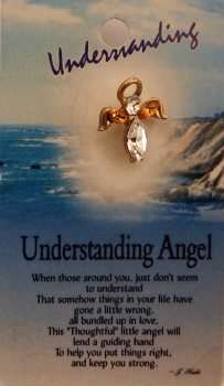 image Understanding  Guardian Angel