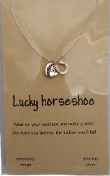 image Lucky Horseshoe  Emotional range necklace