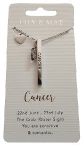 Star Cancer Sign Lily & Mae Necklace