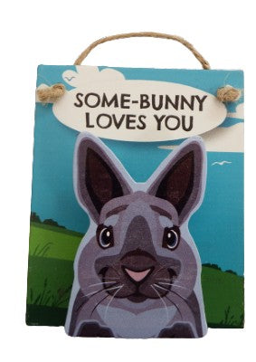 Some Bunny Loves You Rabbit Pet Peg