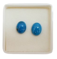 Turquoise stud earrings oval Med