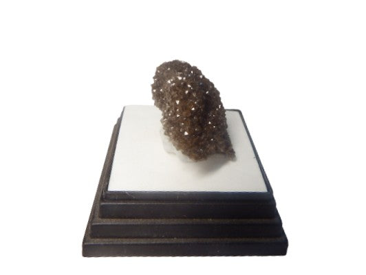 Fossilized wood covered with drussy quartz miniature Mineral specimen