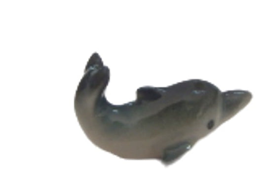 Mini Dolphin
