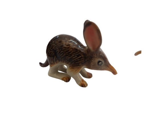 Bilby Med Bandicoot